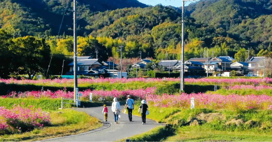 恭仁宮について